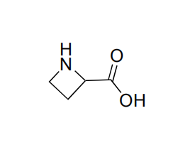  DL-Azetidine-2-carboxylic acid 